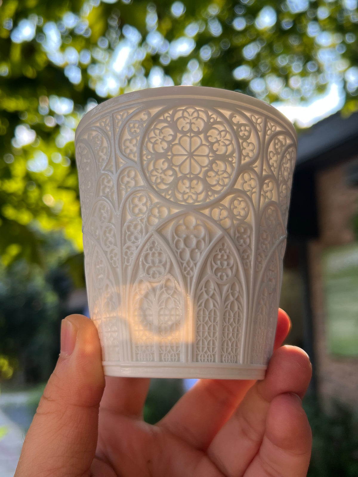 Cathedral Lace Translucent Porcelain Cup